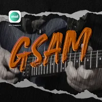 Gsam