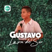 Gustavo La voz del Sur