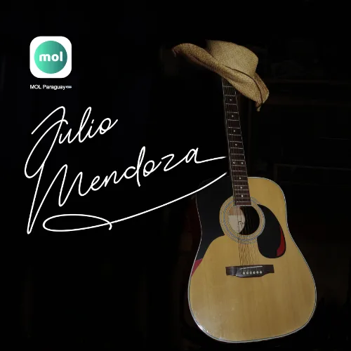 Julio Mendoza ramirez