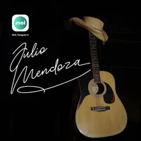 Julio Mendoza ramirez