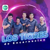 Los Tigres de Encarnación
