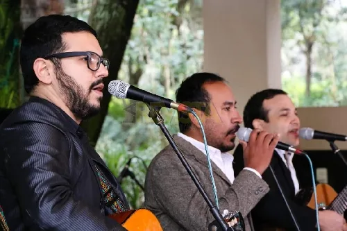 Foto de GRUPO TRANSICIÓN