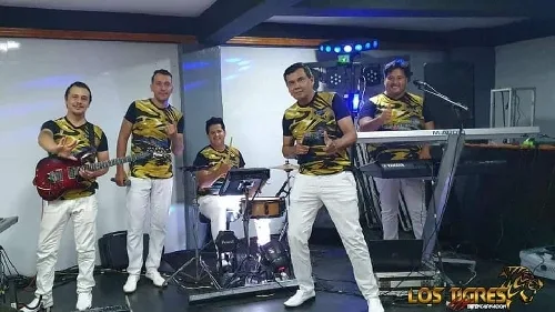 Foto de Los Tigres de Encarnación